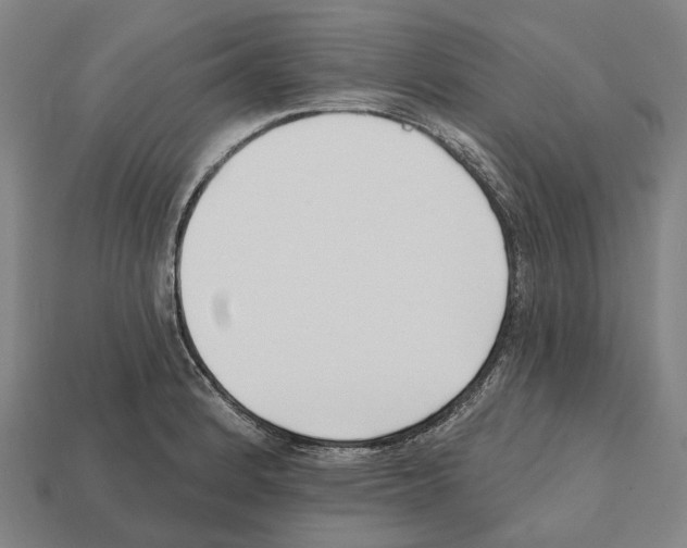 X0000112541184200909281053