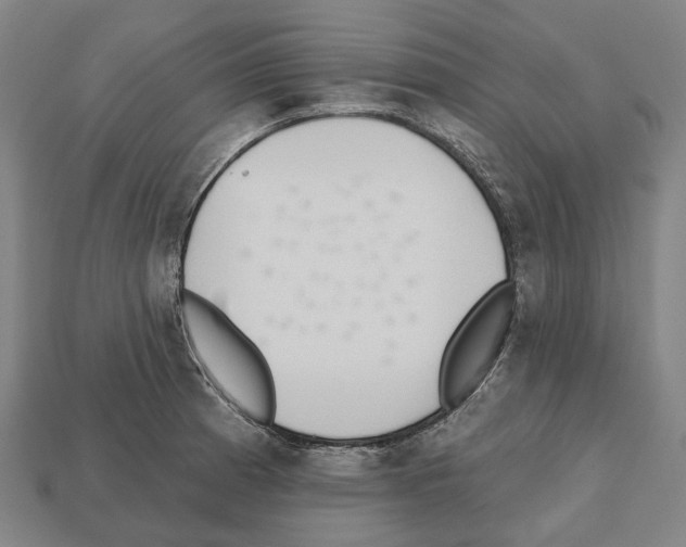 X0000112541185200909281053