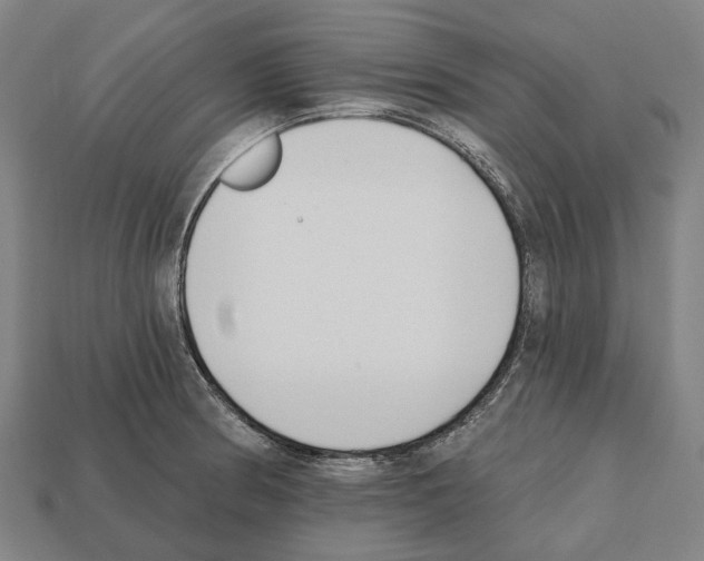 X0000112541186200909281053