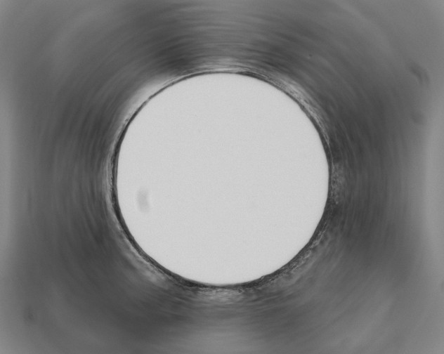 X0000112541187200909281053