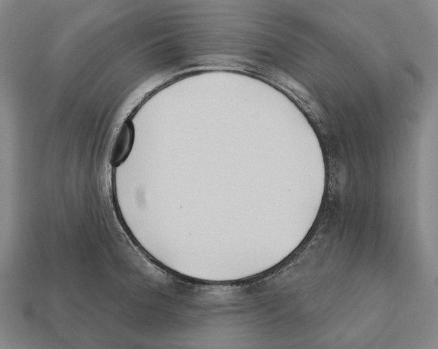 X0000112541188200909281053