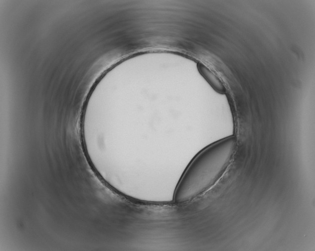X0000112541189200909281053