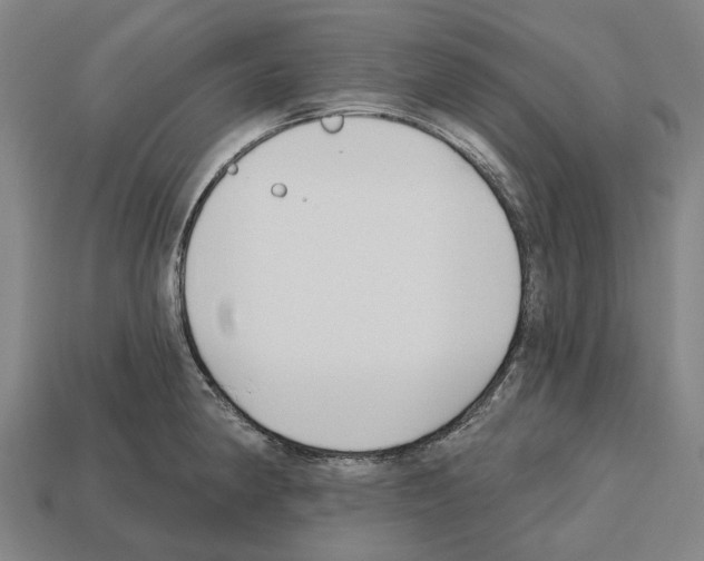 X0000112541190200909281053