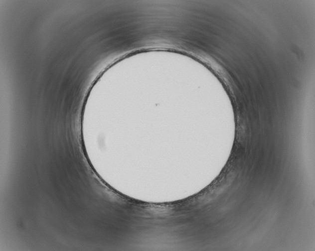 X0000112541191200909281053