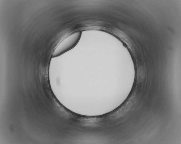 X0000112541193200909281053