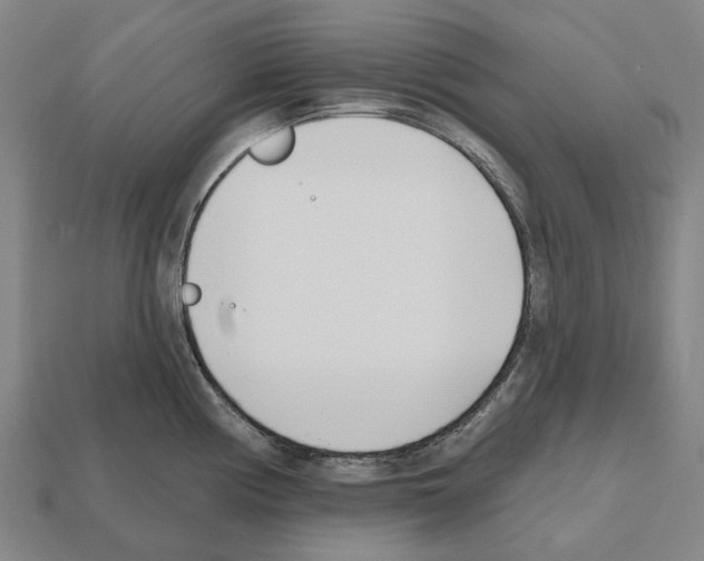 X0000112541194200909281053