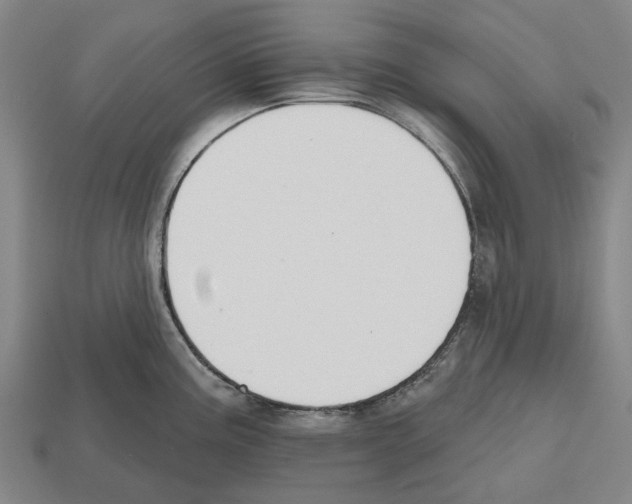 X0000112541195200909281053
