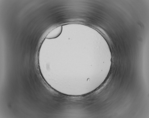 X0000112541196200909281053