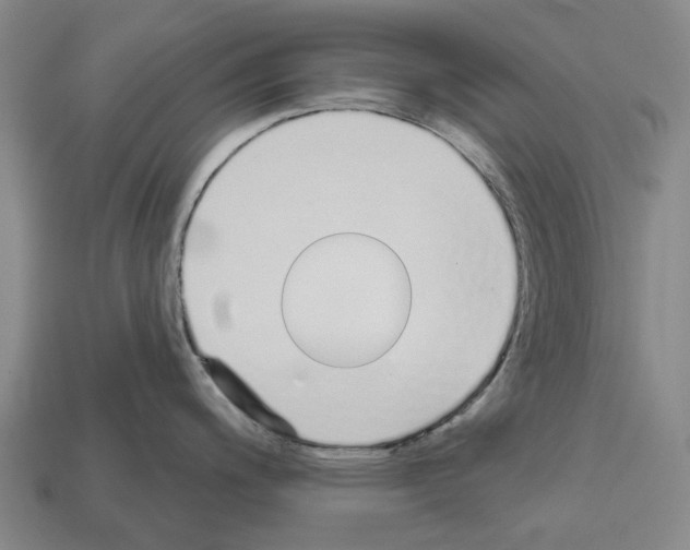 X0000112541200200909281053