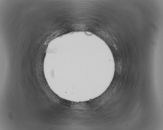 X0000112541201200909281052