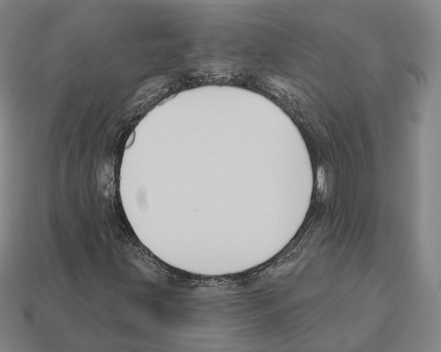 X0000112541203200909281052