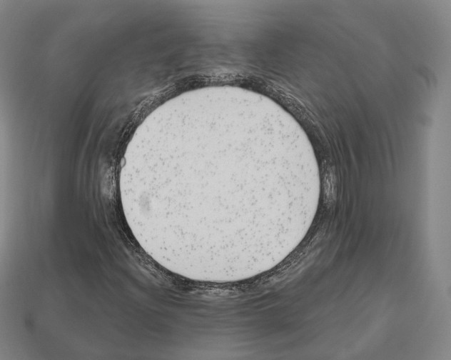 X0000112541204200909281052