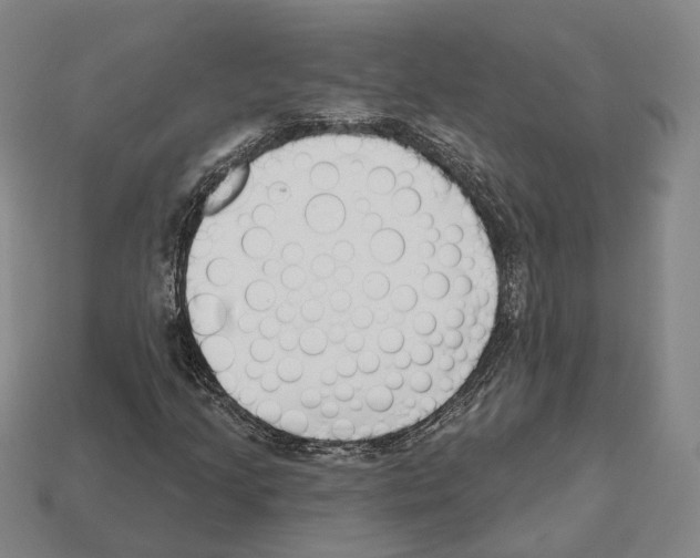 X0000112541205200909281052