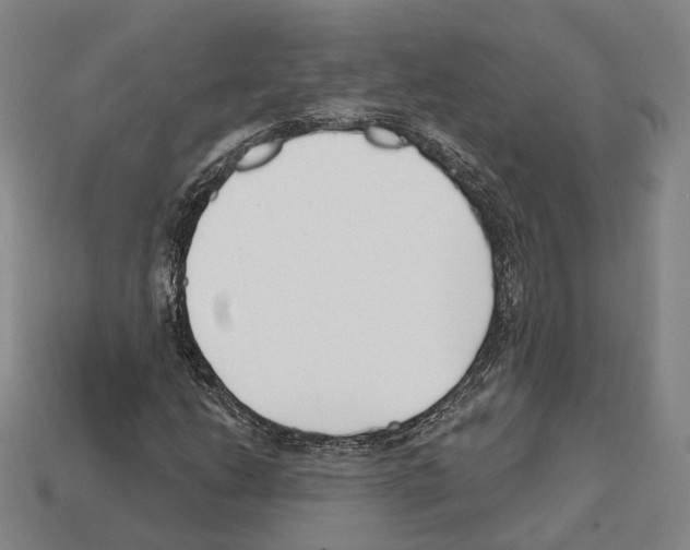X0000112541206200909281052