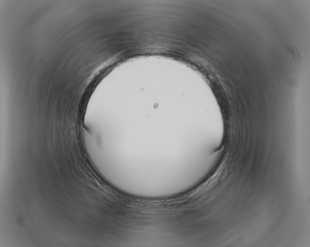X0000112541210200909281052