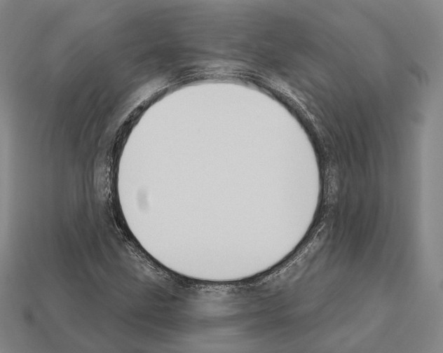 X0000112541211200909281052