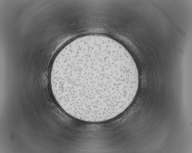 X0000112541212200909281052
