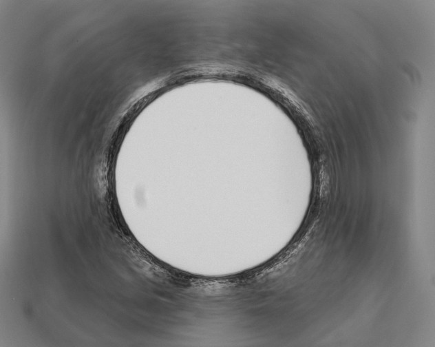 X0000112541213200909281052