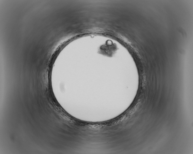 X0000112541214200909281052