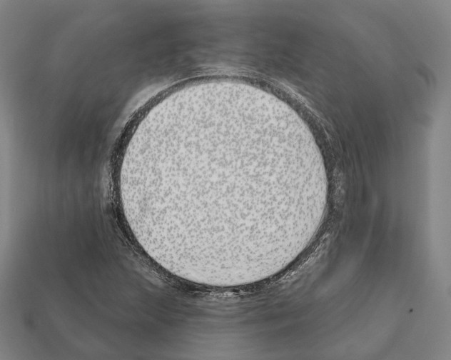 X0000112541215200909281052