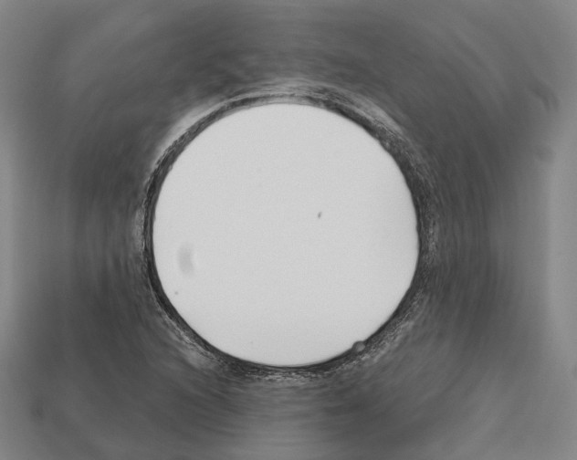X0000112541216200909281052