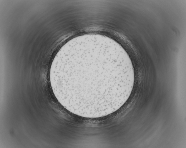 X0000112541217200909281052