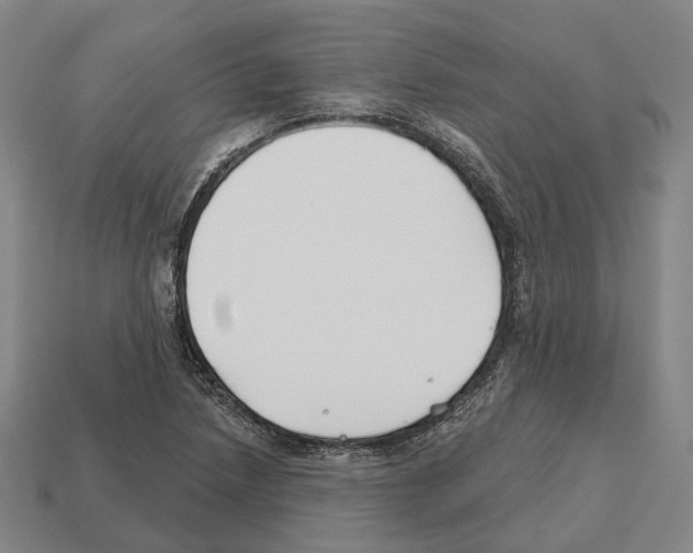 X0000112541218200909281052