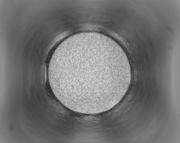 X0000112541219200909281052