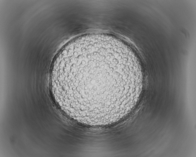 X0000112541220200909281052