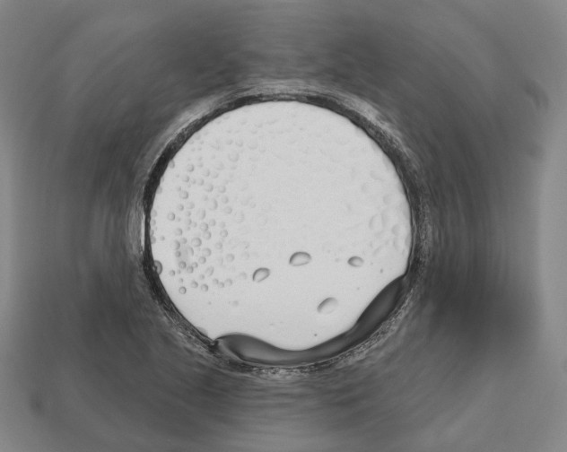 X0000112541221200909281052