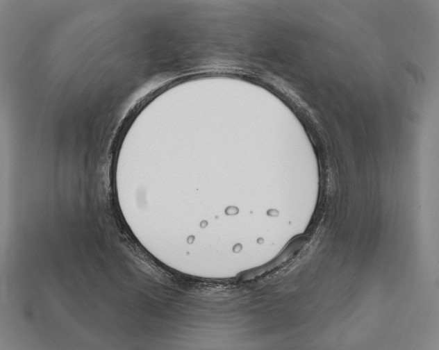X0000112541222200909281052