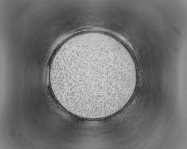 X0000112541223200909281052