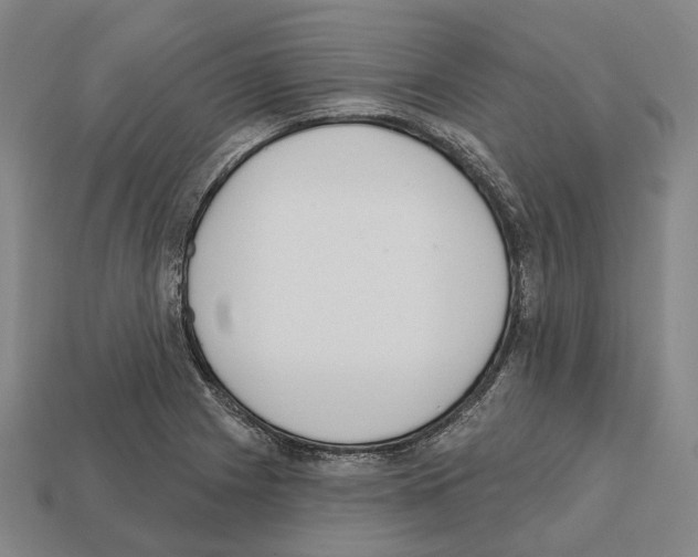 X0000112541225200909281052