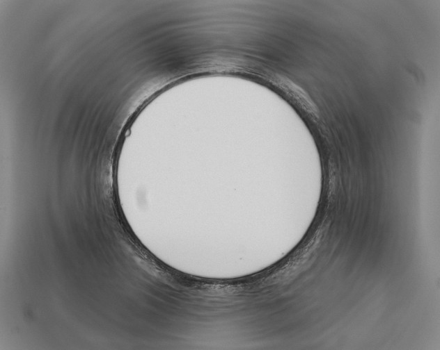 X0000112541226200909281052