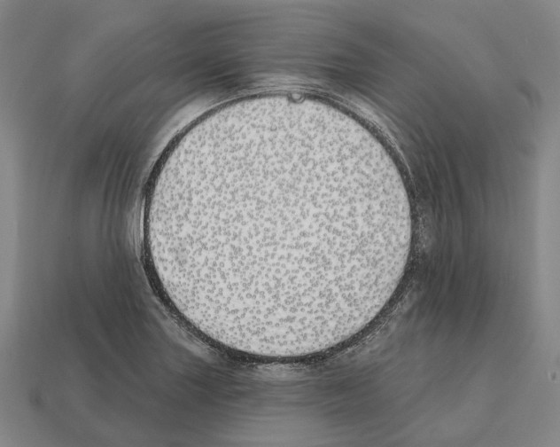 X0000112541227200909281052
