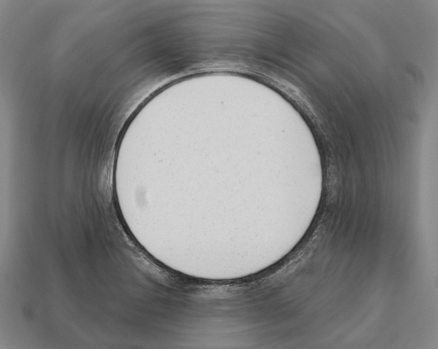 X0000112541228200909281052