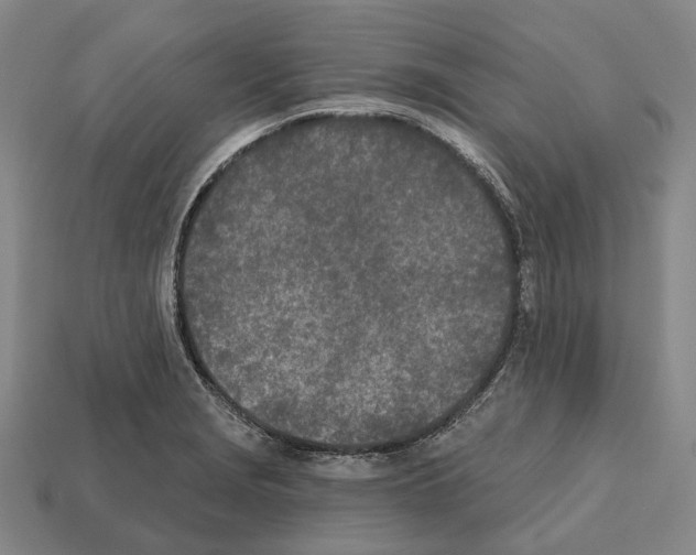 X0000112541229200909281052