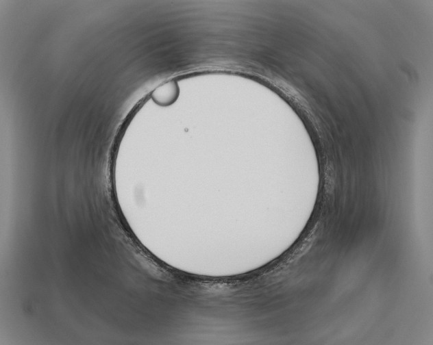 X0000112541230200909281052