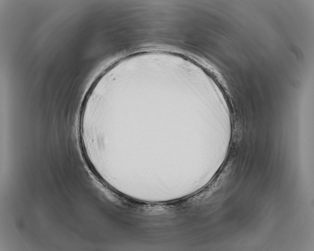 X0000112541231200909281052