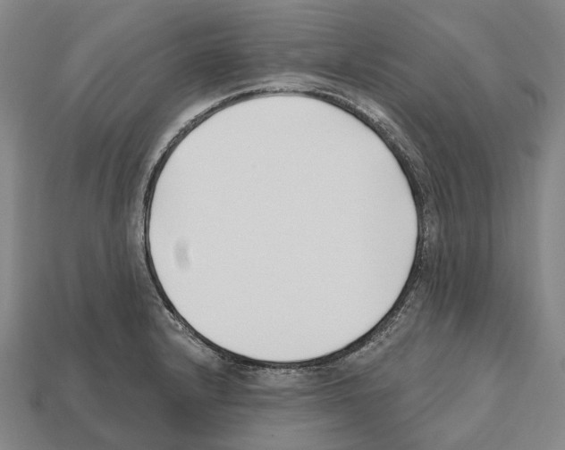X0000112541232200909281052
