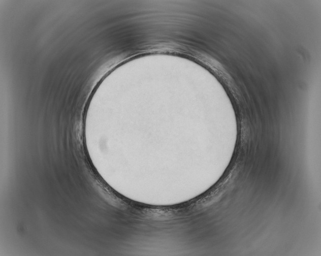 X0000112541234200909281052
