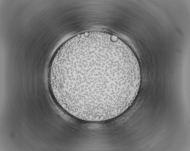 X0000112541235200909281052