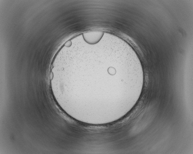 X0000112541236200909281052