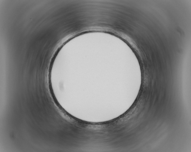 X0000112541237200909281052