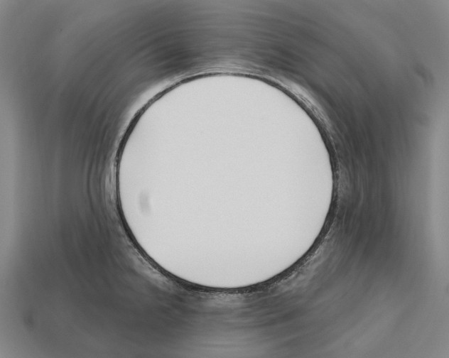 X0000112541238200909281052