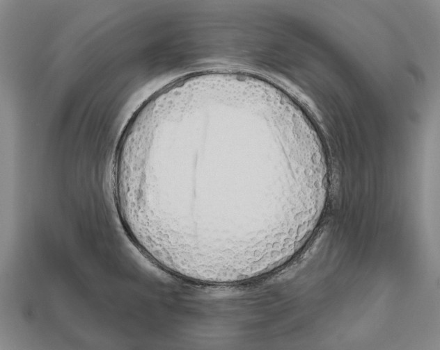 X0000112541239200909281052
