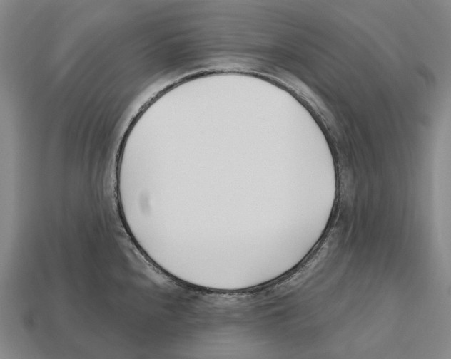 X0000112541240200909281052