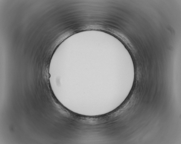 X0000112541241200909281052