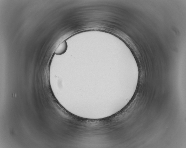 X0000112541242200909281052