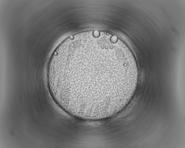 X0000112541243200909281052